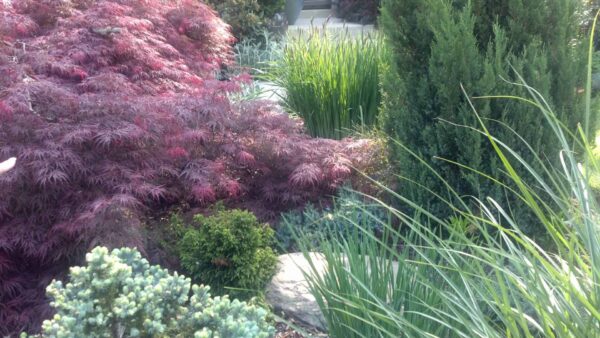 Rivas Design Home - Rivas Design and Landscaping