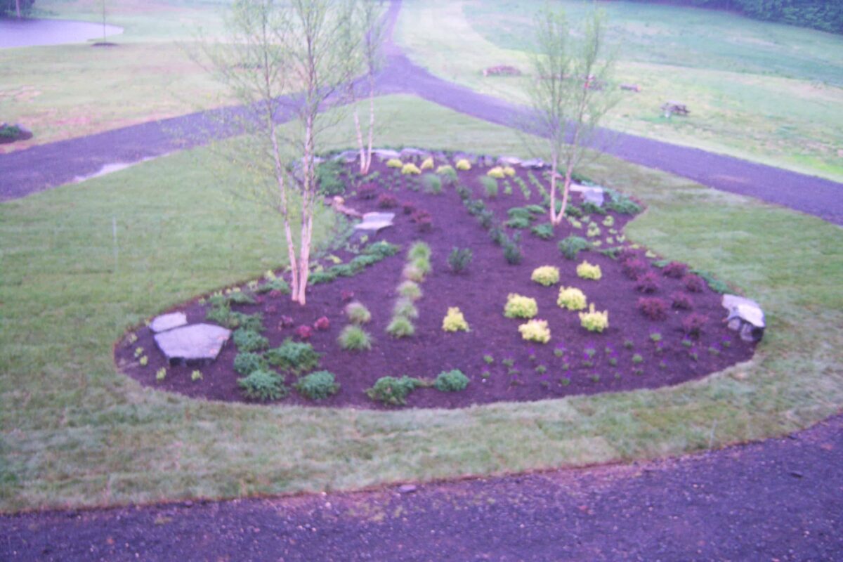 Rivas Design Home - Rivas Design and Landscaping