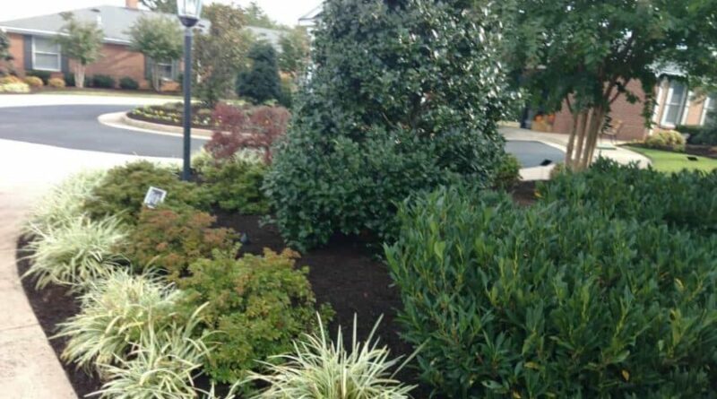 Rivas Design Home - Rivas Design and Landscaping