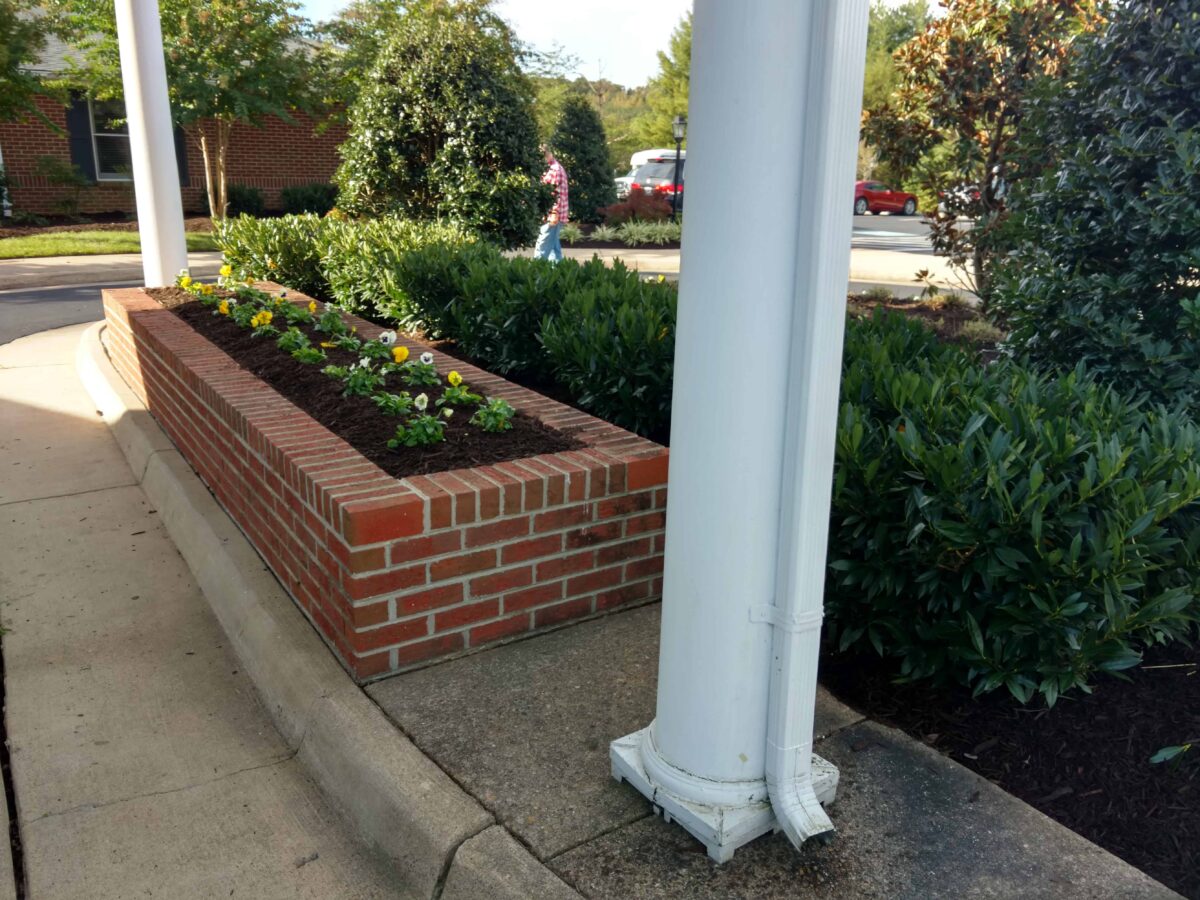 Rivas Design Home - Rivas Design and Landscaping