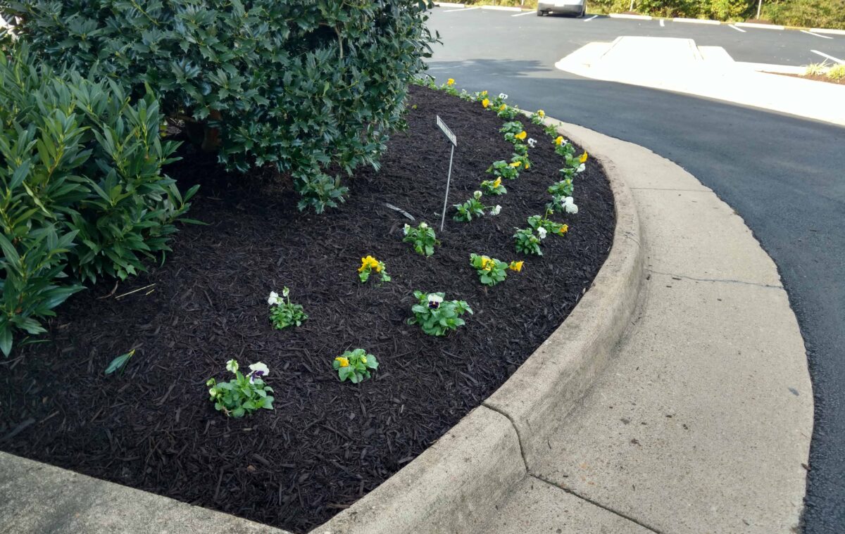 Rivas Design Home - Rivas Design and Landscaping